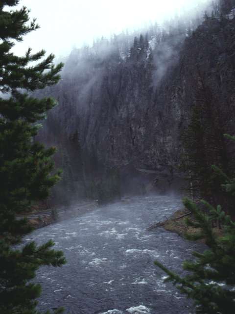 Paisaje monta�oso con niebla